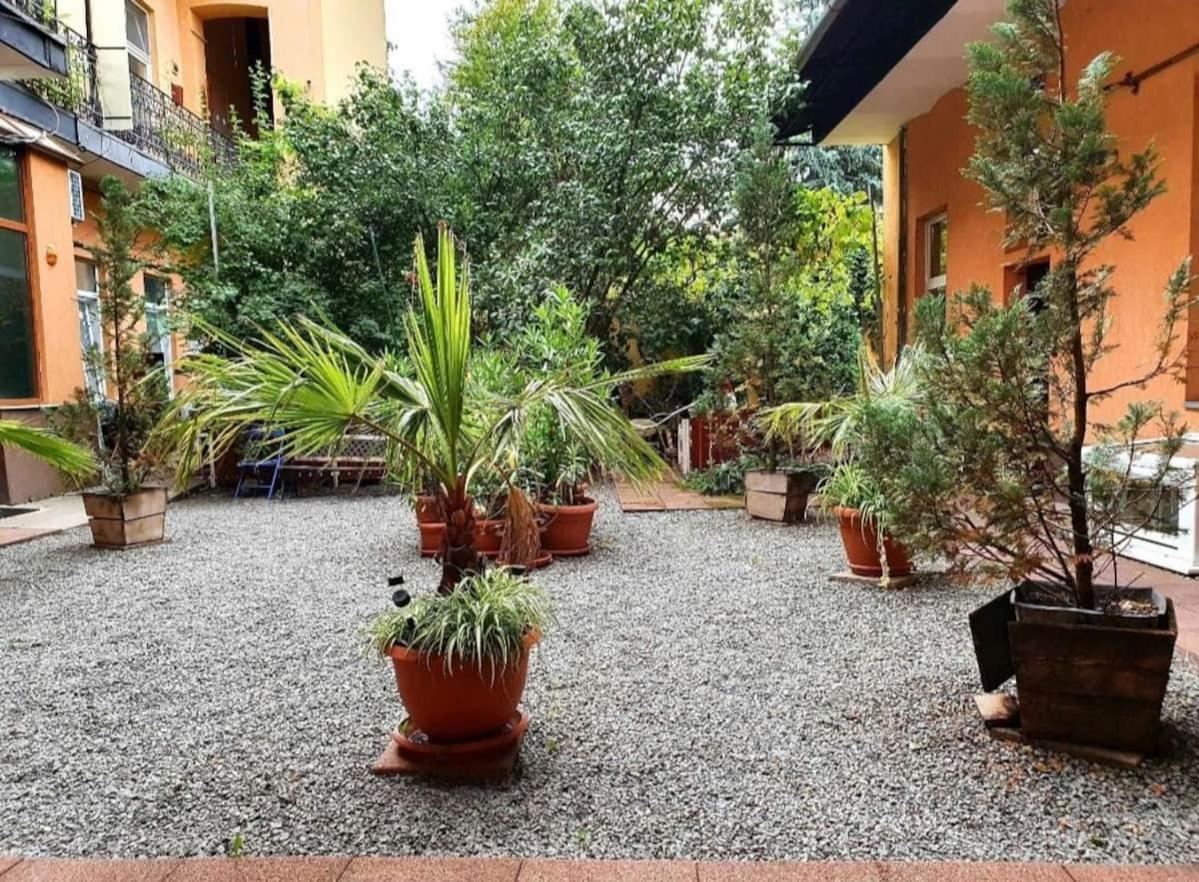 Ultracentral Cluj Napoca,Balcony,Fast Wifi,Parking Eksteriør billede
