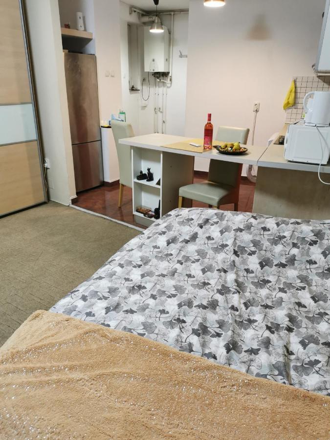 Ultracentral Cluj Napoca,Balcony,Fast Wifi,Parking Eksteriør billede